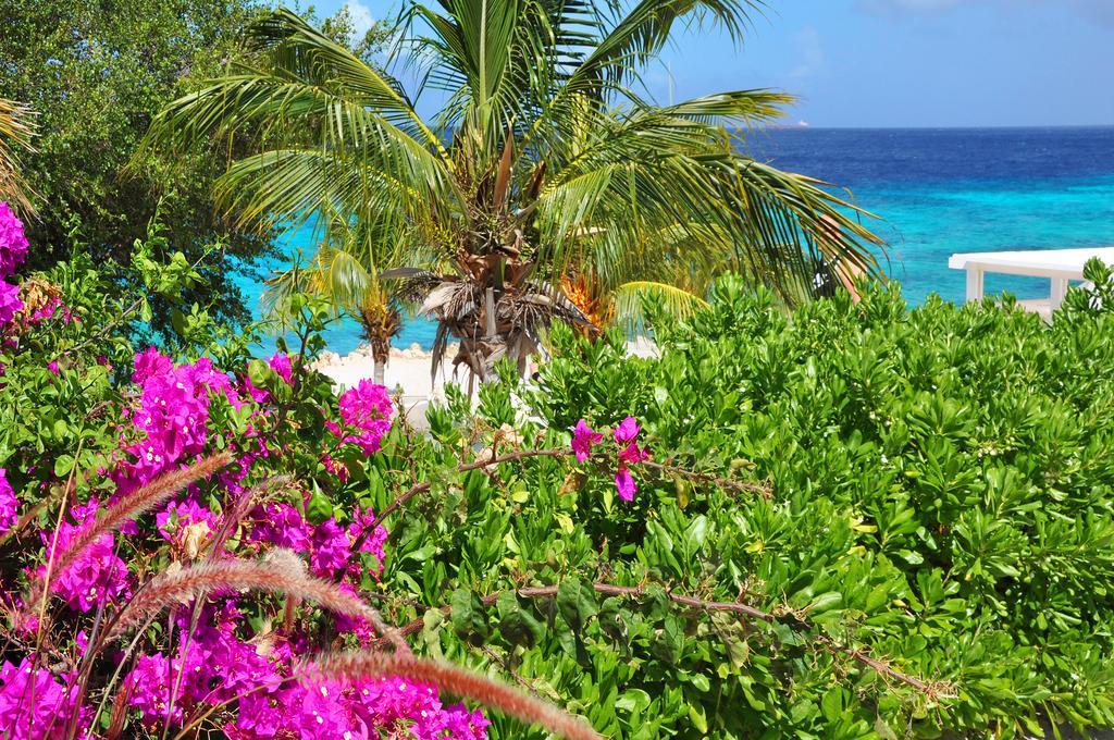 Hilltop Sea view , Boca Gentil Willemstad Exterior foto